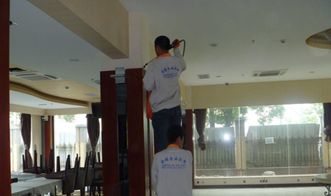 上海家庭蟲害防治與保潔服務 一站式解決蟲害與清潔煩惱